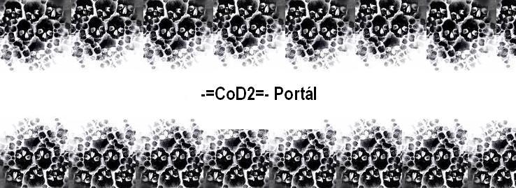 -=CoD2=-Portl